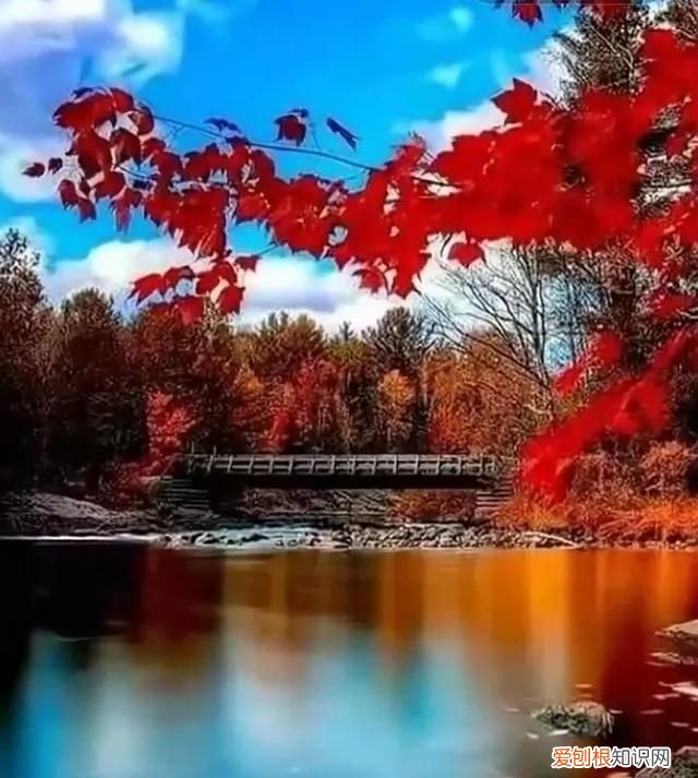 距离太阳最近的四颗行星,距离太阳最近四颗行星