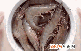 蒜蓉白菜粉丝蒸大虾空气炸锅 蒜蓉蒸大虾的做法