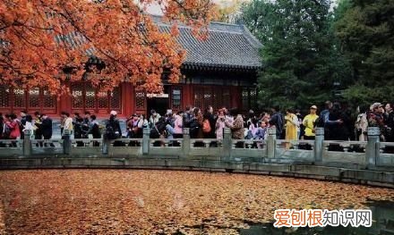 行走世界的北京老刘香山赏秋 北京香山赏秋时间表