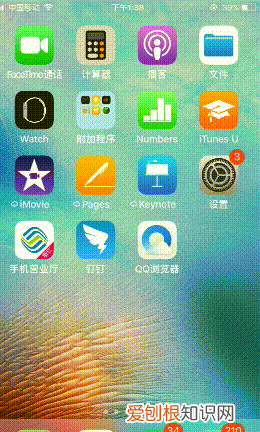 支付宝微信被偷扣钱怎么办 如何查微信和支付宝被偷偷扣钱