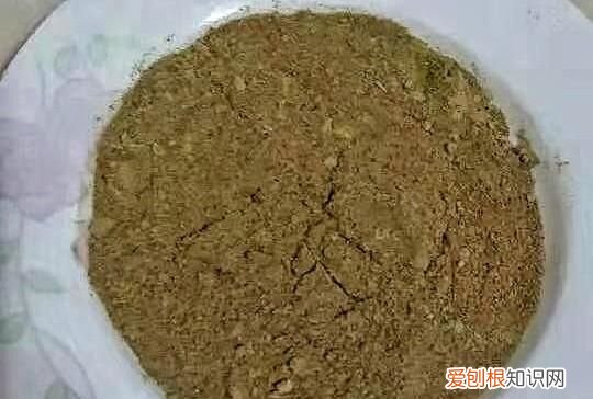 海鲜生蚝怎么保存最新鲜 吃不完的生蚝怎么保存