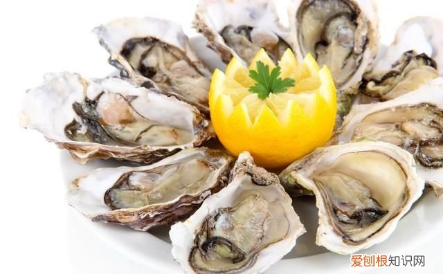 海鲜生蚝怎么保存最新鲜 吃不完的生蚝怎么保存