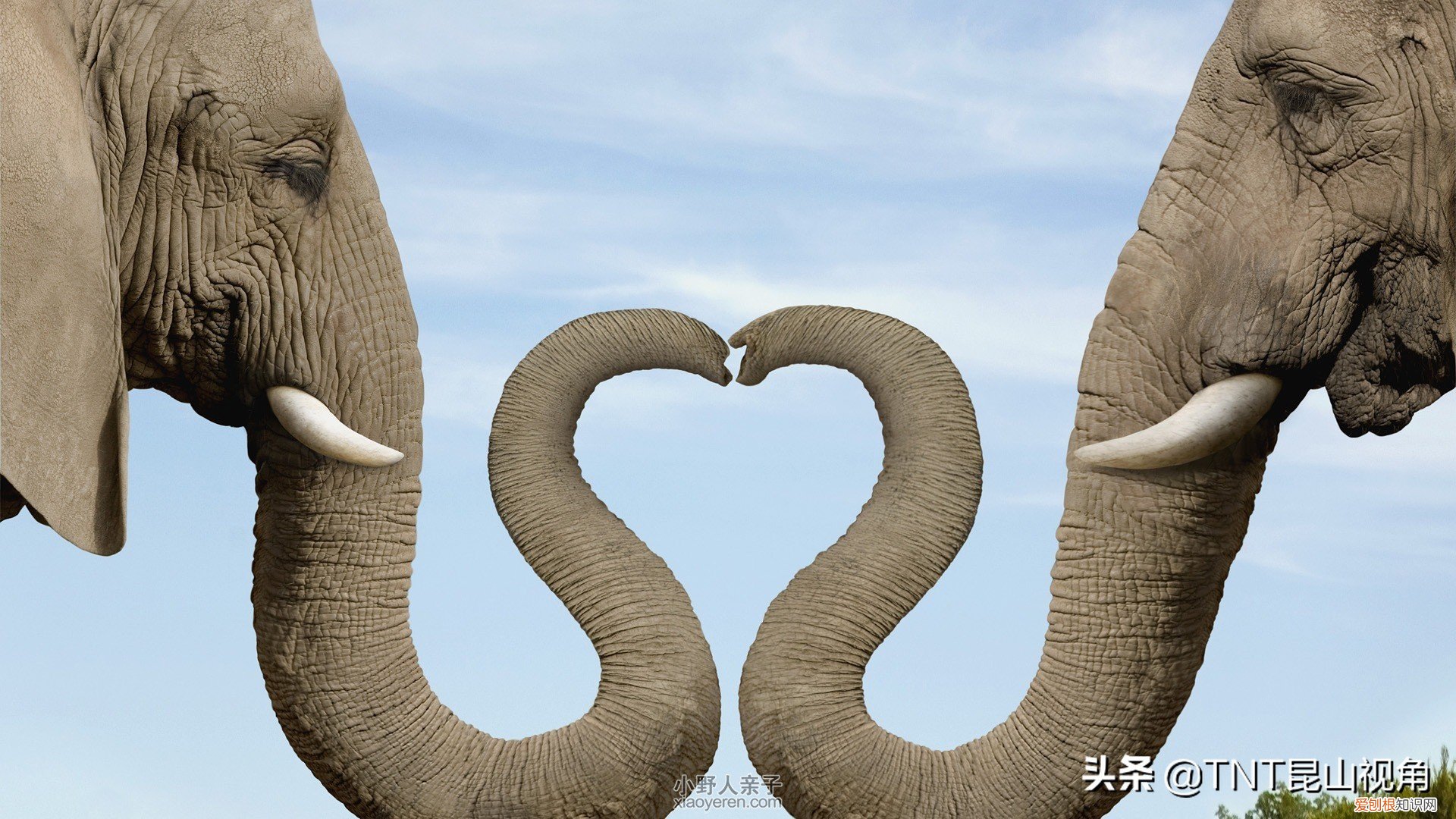 冈本001和杜蕾斯001哪个更好?盘点世界最薄避孕套