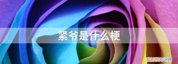 紧爷啥意思是什么,缱绻这两个字是什么意思