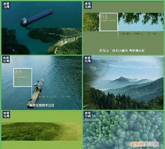 象舞指数 | 时政微《绿》：融合多种艺术形式的诗意化表达