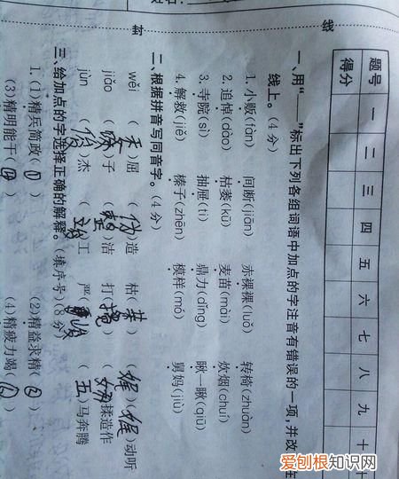 为人类作出贡献的人成语，具有突出贡献的人用什么词语