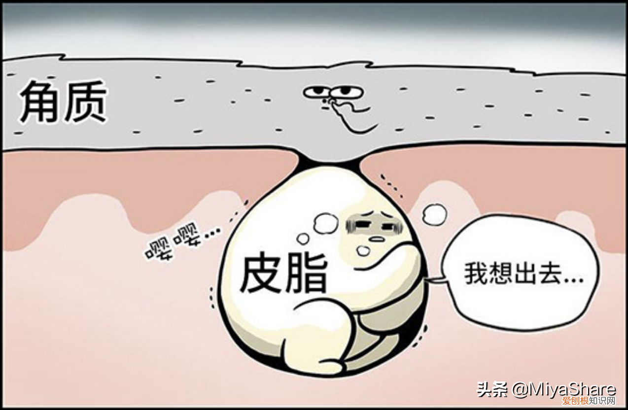 雅漾祛痘精华祛痘效果怎么样？8款平价祛痘评测分享