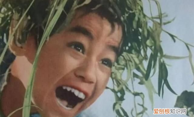 小嘎子的特点,这段话写出了小嘎子怎样的个性特点作家用什么方法来描写人物的