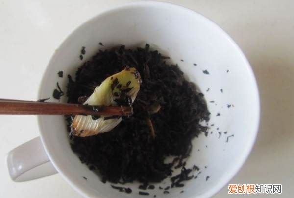 做扣肉的教程视频，扣肉的做法 最正宗的做法