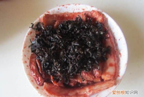 做扣肉的教程视频，扣肉的做法 最正宗的做法