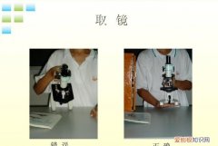 显微镜的使用方法