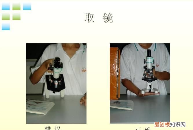 显微镜的使用方法