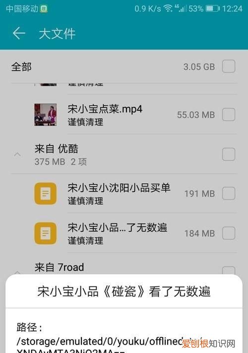 什么是缓存文件，cache是缓存文件可以删除