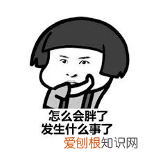 饱腹感超强的减肥产品有哪些？这8款全麦面包一定要知道