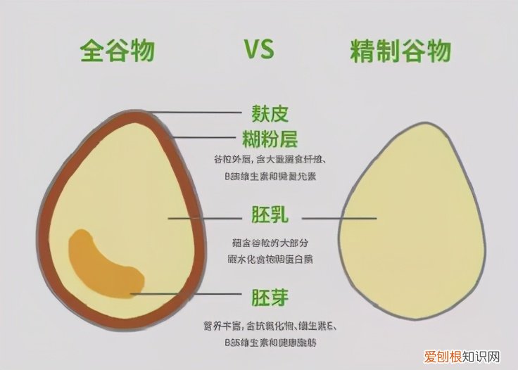 饱腹感超强的减肥产品有哪些？这8款全麦面包一定要知道