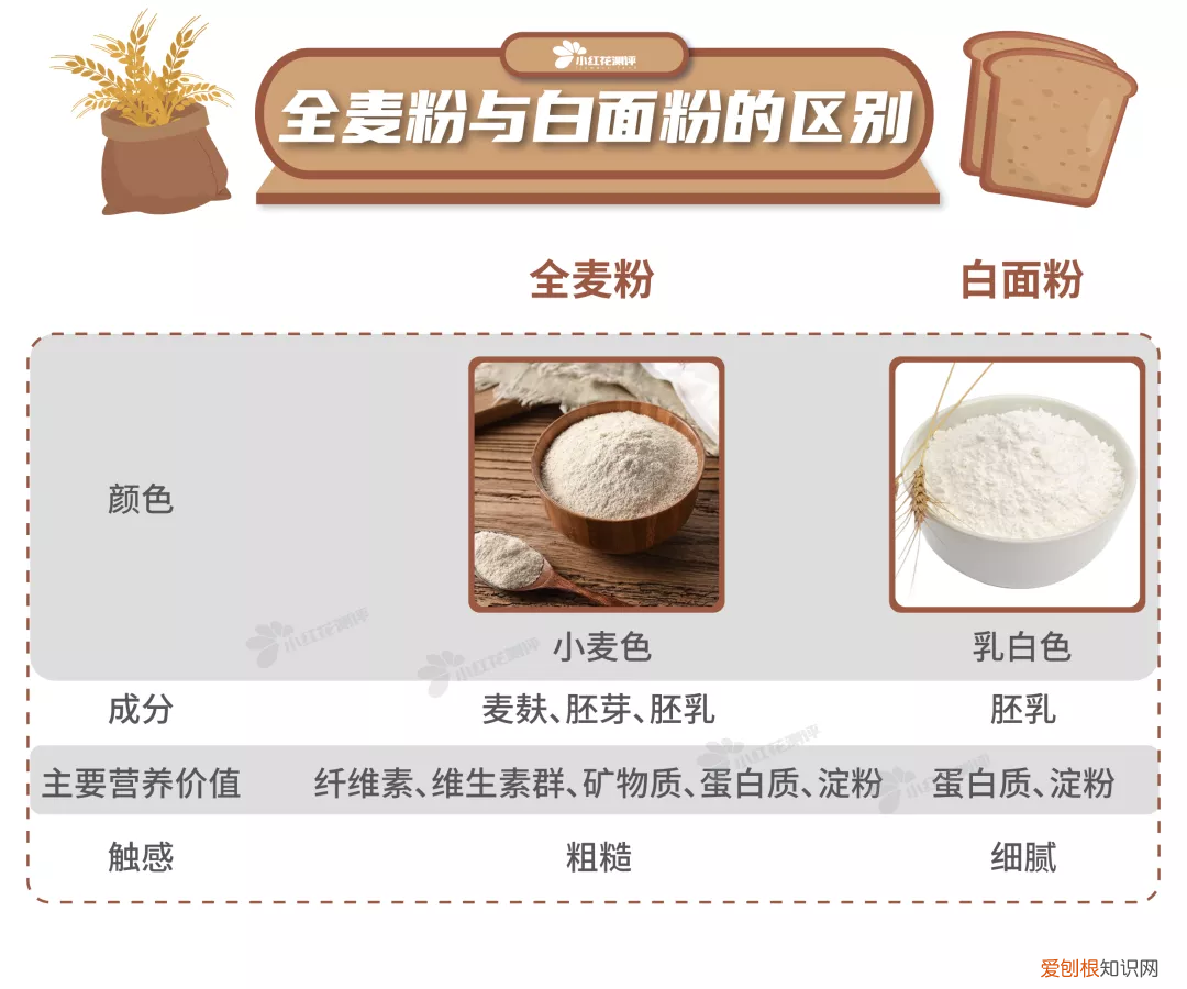 饱腹感超强的减肥产品有哪些？这8款全麦面包一定要知道