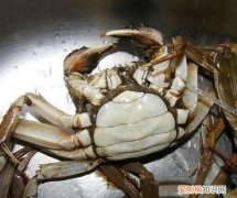 螃蟹放冰箱会不会冻死，螃蟹放在冰箱为什么冻不死