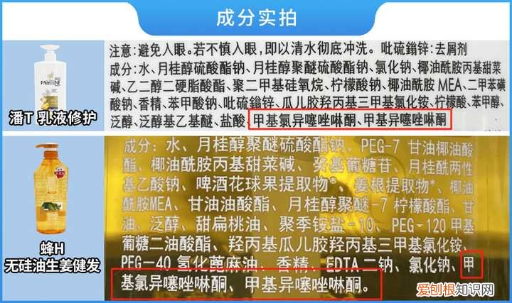 洗头膏什么牌子好用？最全真人评测分享,