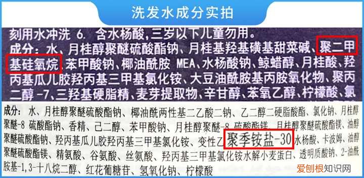 洗头膏什么牌子好用？最全真人评测分享,