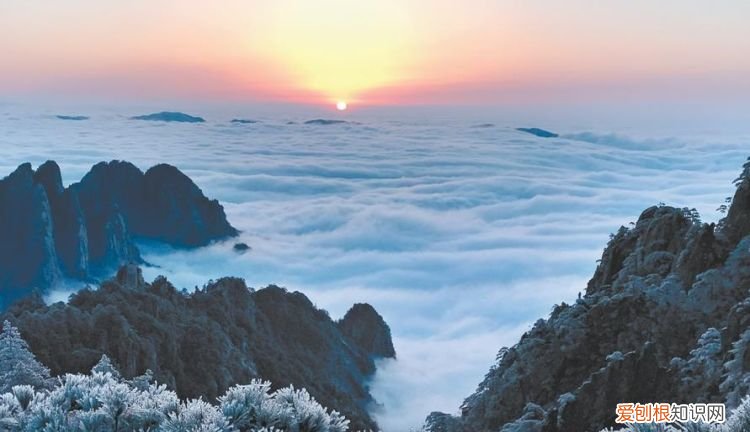 黄山云海的特色是什么,黄山的云海有哪些特点是什么