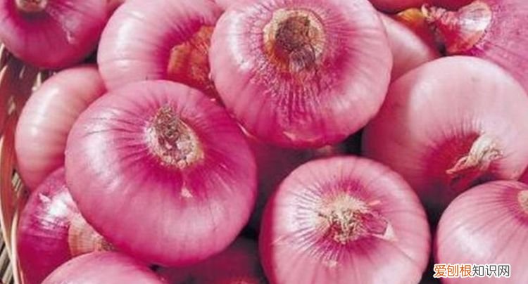 洋葱放房间真的能杀菌吗