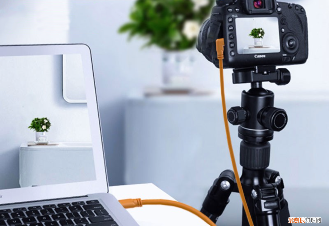 cf卡读卡器什么品牌好?血的教训告诉你们,这样选不会错!