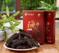 山东都有哪些海参品牌