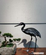 閑云野鶴的意思是什么指什么生肖