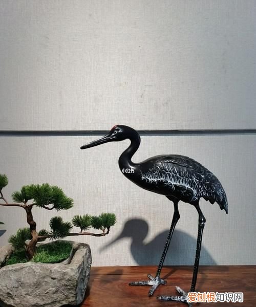 閑云野鶴的意思是什么指什么生肖