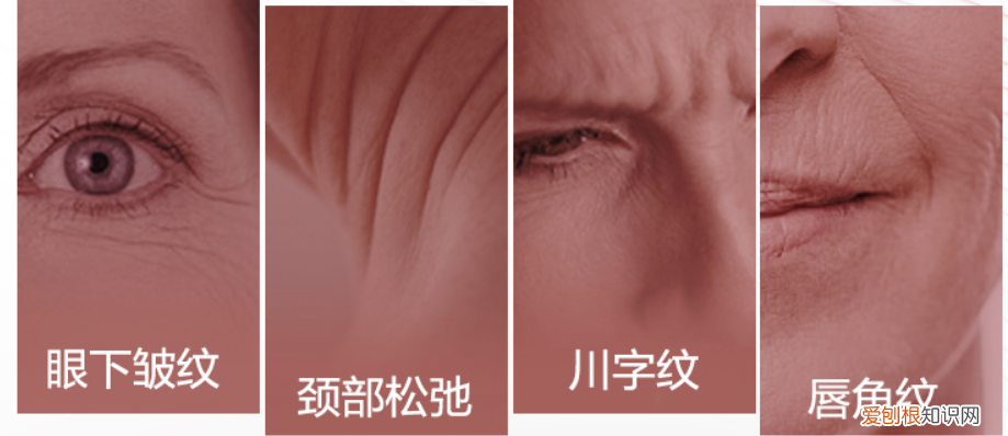 欧莱雅护肤品多少钱一套？适合四五岁女性的套装推荐，平价又好用！