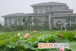 江海大是什么大學(xué)，江海學(xué)院是什么學(xué)校