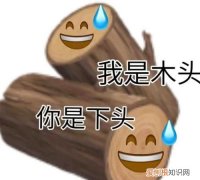 下头网络什么意思，下头狗是什么意思