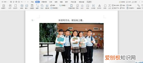 wps如何插入，wps如何插入一鍵重裝系統(tǒng)