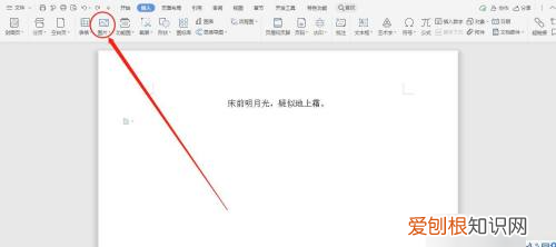 wps如何插入，wps如何插入一鍵重裝系統(tǒng)