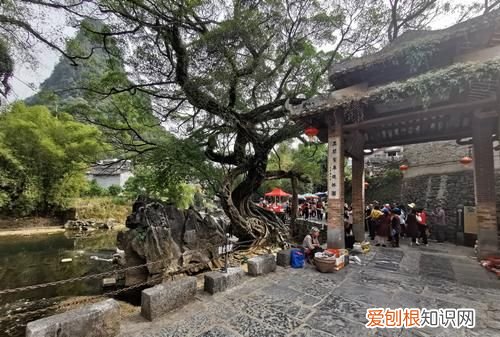 广西黄姚古镇在哪里，广西黄姚古镇去阳朔的里程多少公里