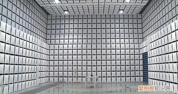 孕婦吃火鍋電磁爐有輻射嗎,用電磁爐做飯有熱輻射嗎