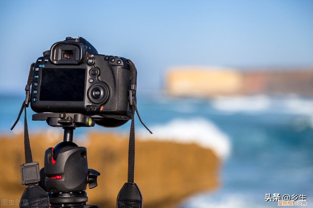 d80尼康相机说明书,你真的会用吗?最全攻略分享