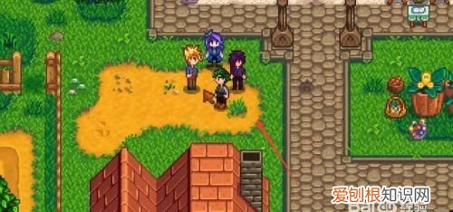 星露谷物语潘姆在哪里