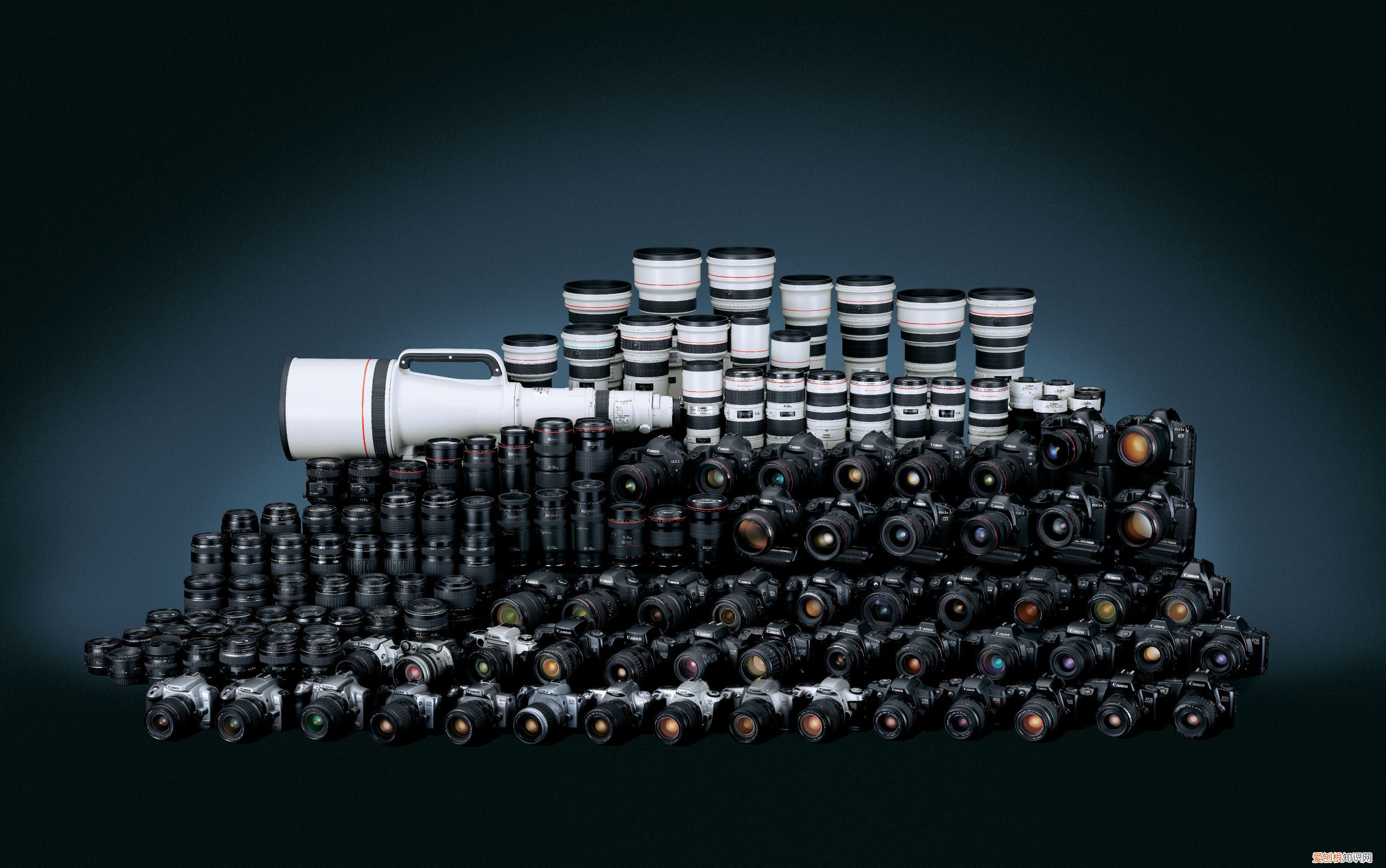 索尼t50怎么导出照片？最全摄影常识分享，建议收藏！