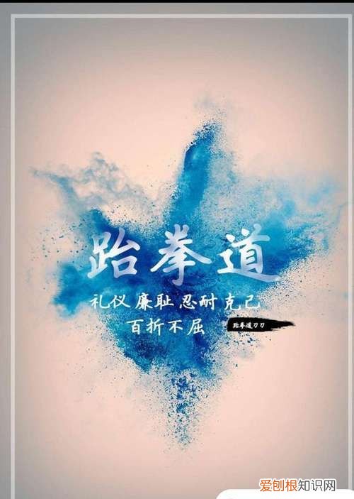 跆拳道五大精神及其含義