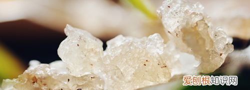 雪燕泡了两天还可以吃吗,桃胶雪燕皂角米泡好放几天可以