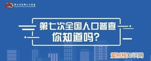 2020人口普查是一种什么调查