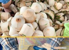 椰青放冰箱可以保存多久，椰青不放冰箱可以放多久