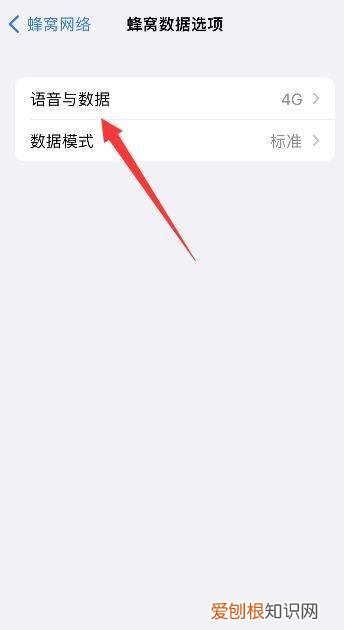 iphone2怎么開通5g，蘋果25g開關(guān)在哪里
