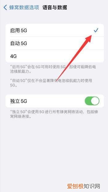 iphone2怎么開通5g，蘋果25g開關(guān)在哪里