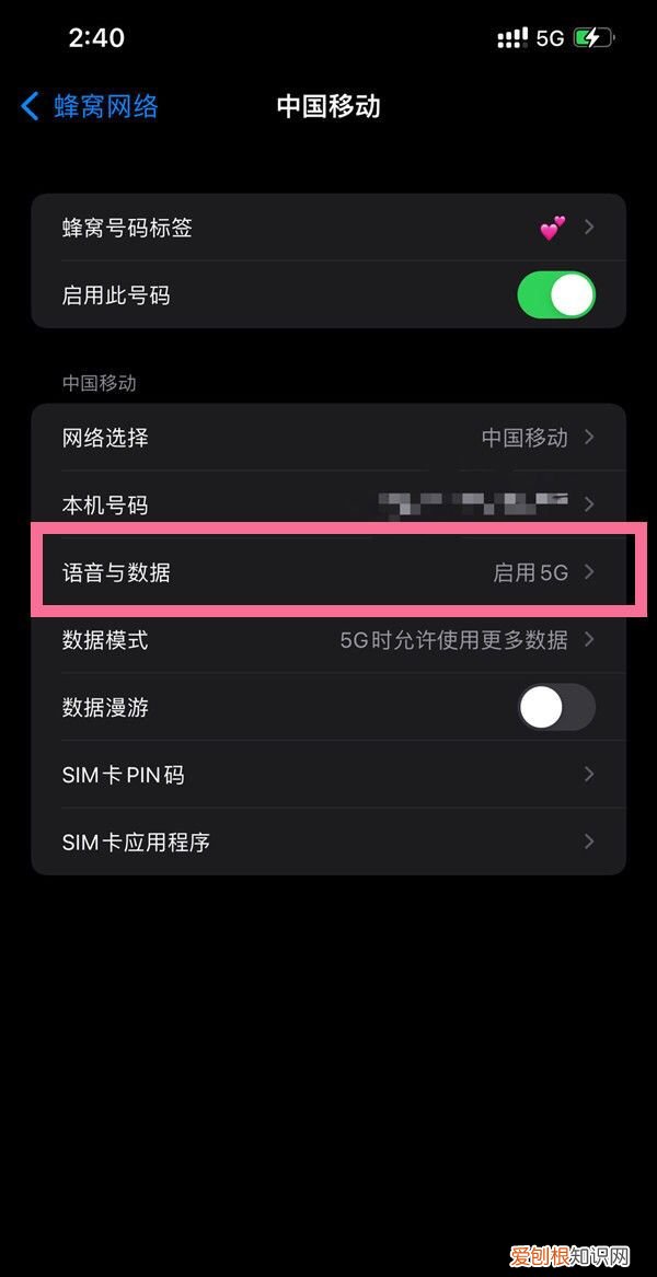 iphone2怎么開通5g，蘋果25g開關(guān)在哪里