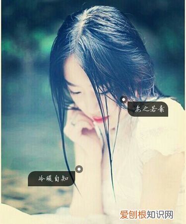 安之若素冷暖自知是啥意思