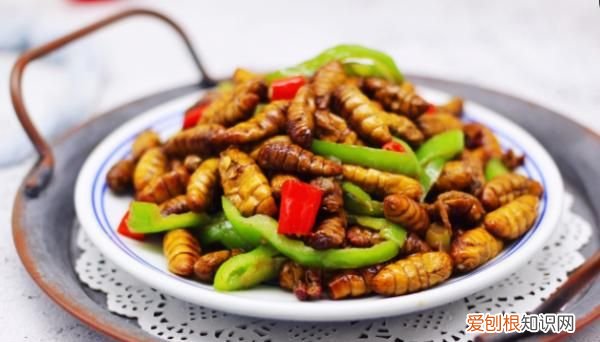 炒蚕蛹怎么做,炒蚕蛹怎样做