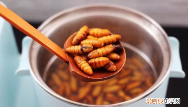 炒蚕蛹怎么做,炒蚕蛹怎样做