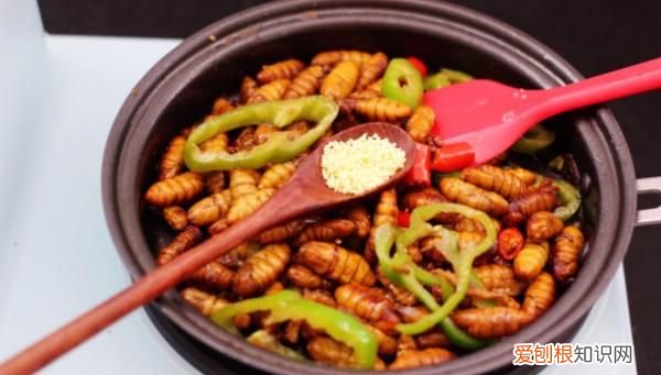 炒蚕蛹怎么做,炒蚕蛹怎样做